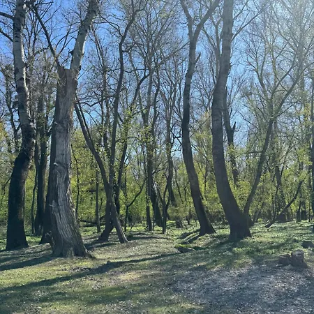 Sunset Hausbot Hotel na wodzie Bratysława