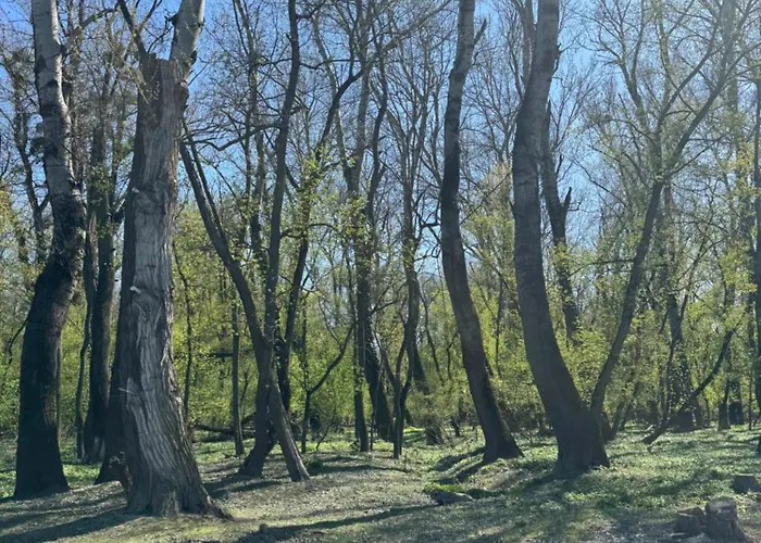 Sunset Hausbot Botel Bratislava